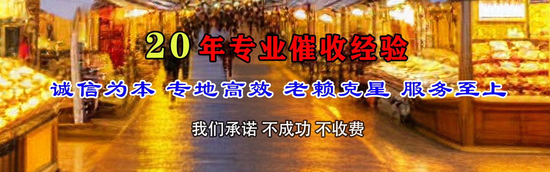 湖滨清债公司